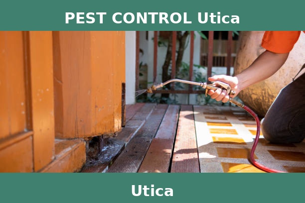 PEST CONTROL Utica